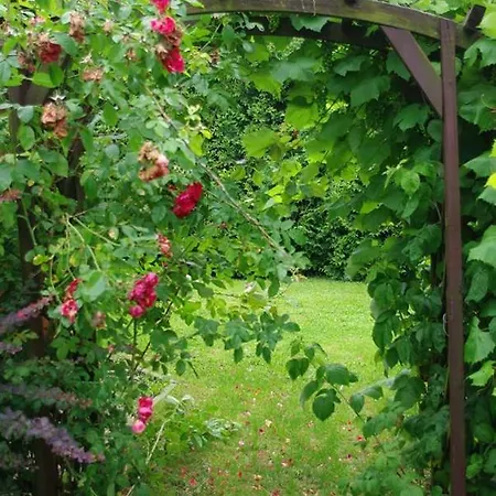 Rozdroze Guest house Wysowa-Zdroj