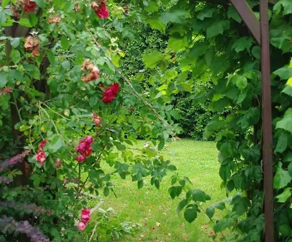 Rozdroze Affittacamere Wysowa-Zdrój